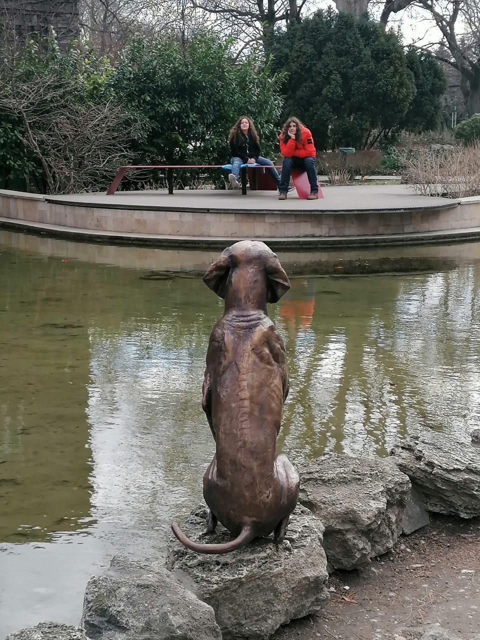 Hungarian Vizsla Bronze statue