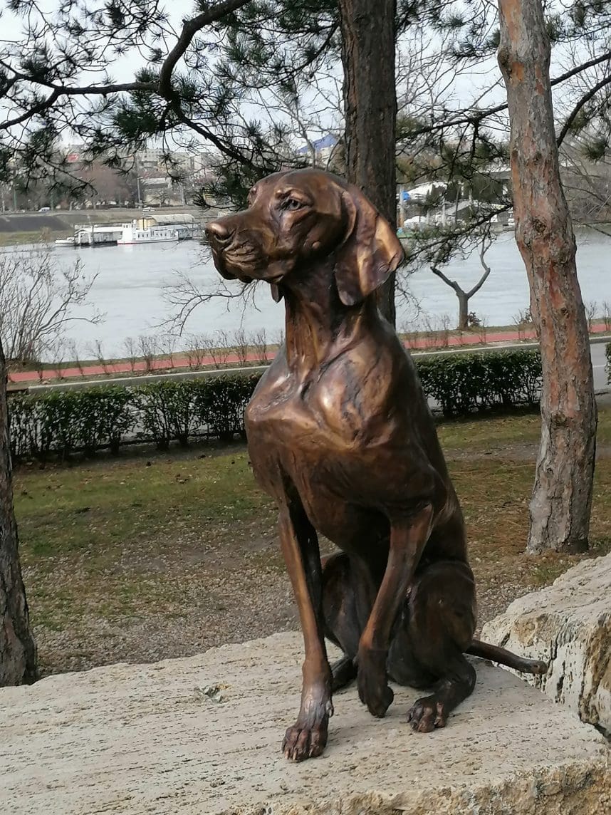 Hungarian Vizsla Bronze statue