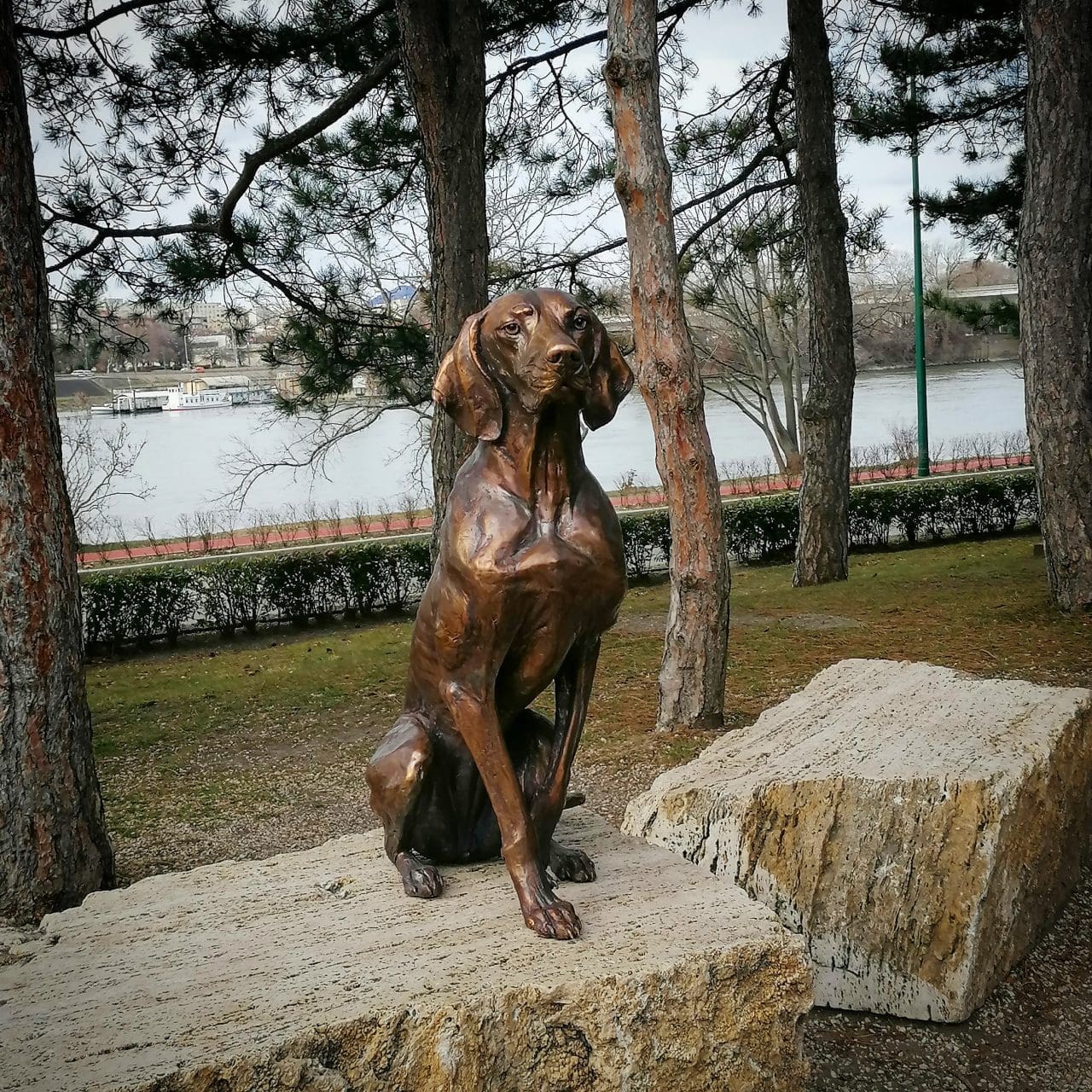 Hungarian Vizsla Bronze statue