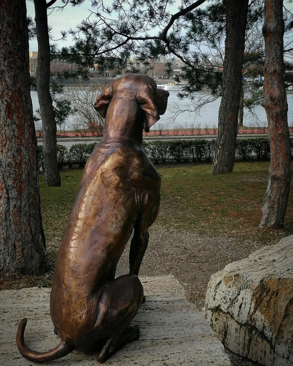 Hungarian Vizsla Bronze statue