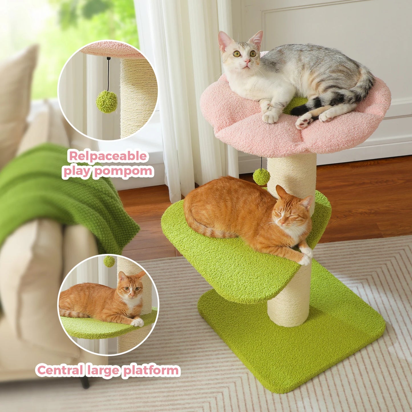 S025c2873ca764f189824aa9b3cb6b205K