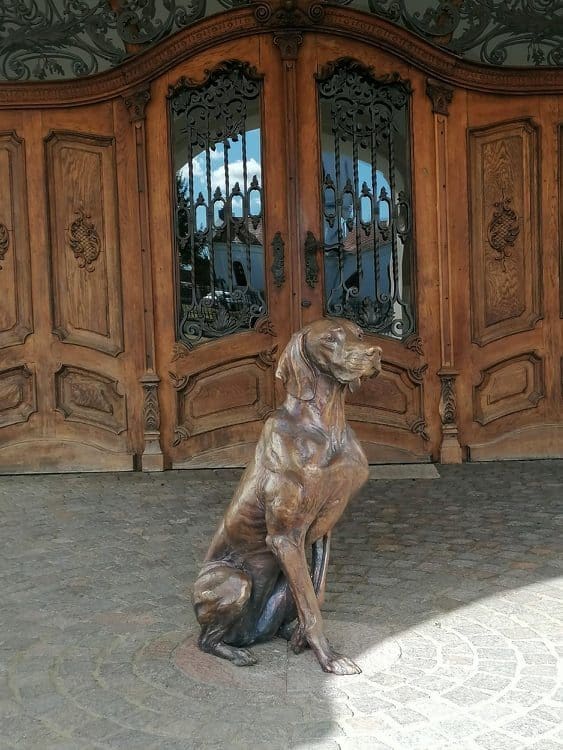 Hungarian Vizsla Bronze statue