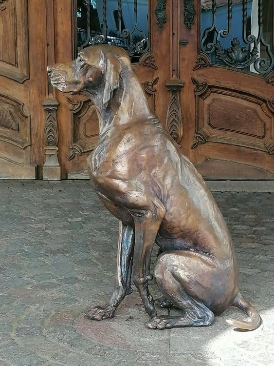 Hungarian Vizsla Bronze statue