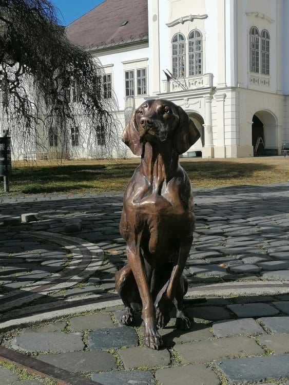 Hungarian Vizsla Bronze statue